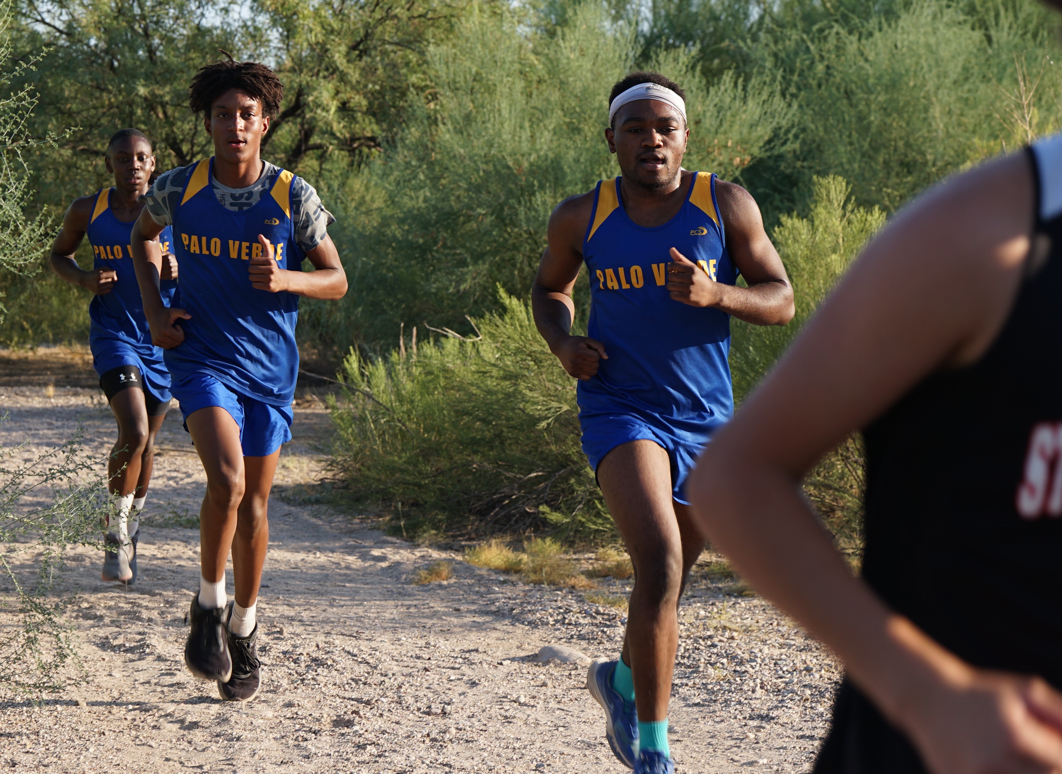 Three Palo Verde cross country athletes run through the course