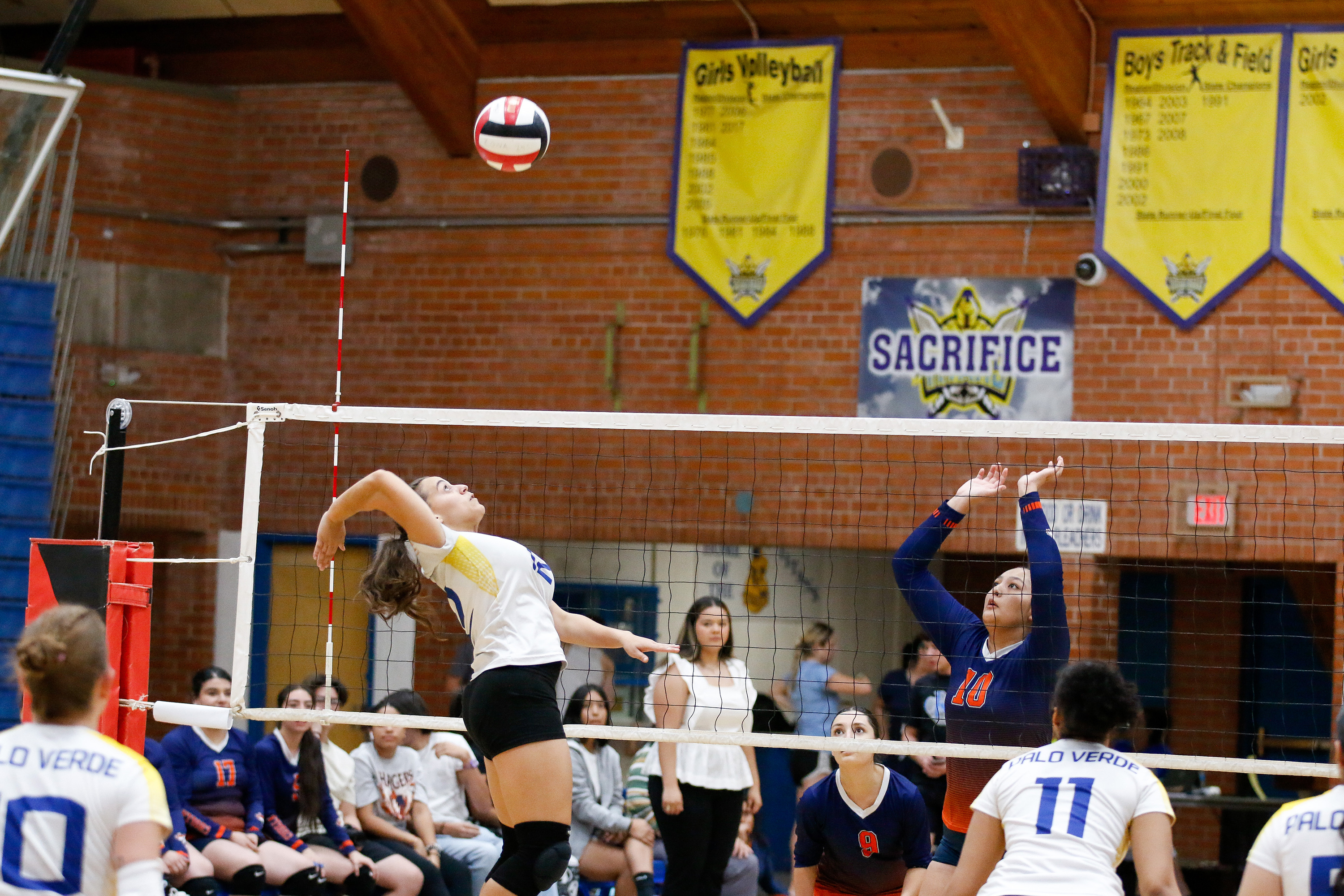 A Palo Verde volleyball player spikes the ball over the net