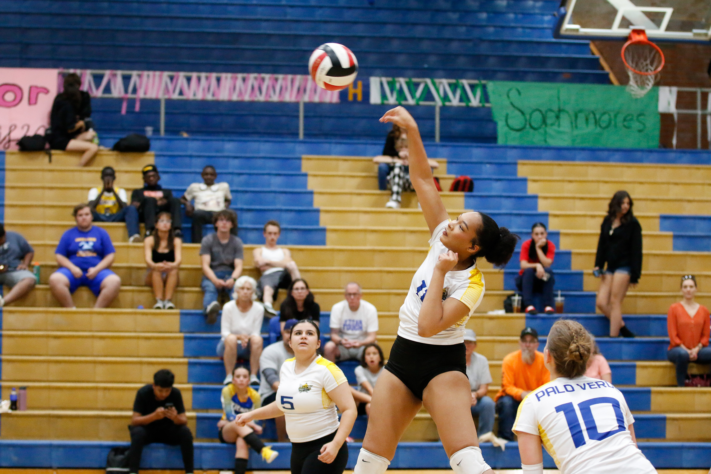 A Palo Verde volleyball player hits the ball to a teammate